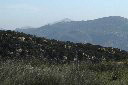 12-DSC_8350.jpg (157498 bytes)